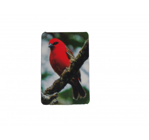 Marque Page Cardinal